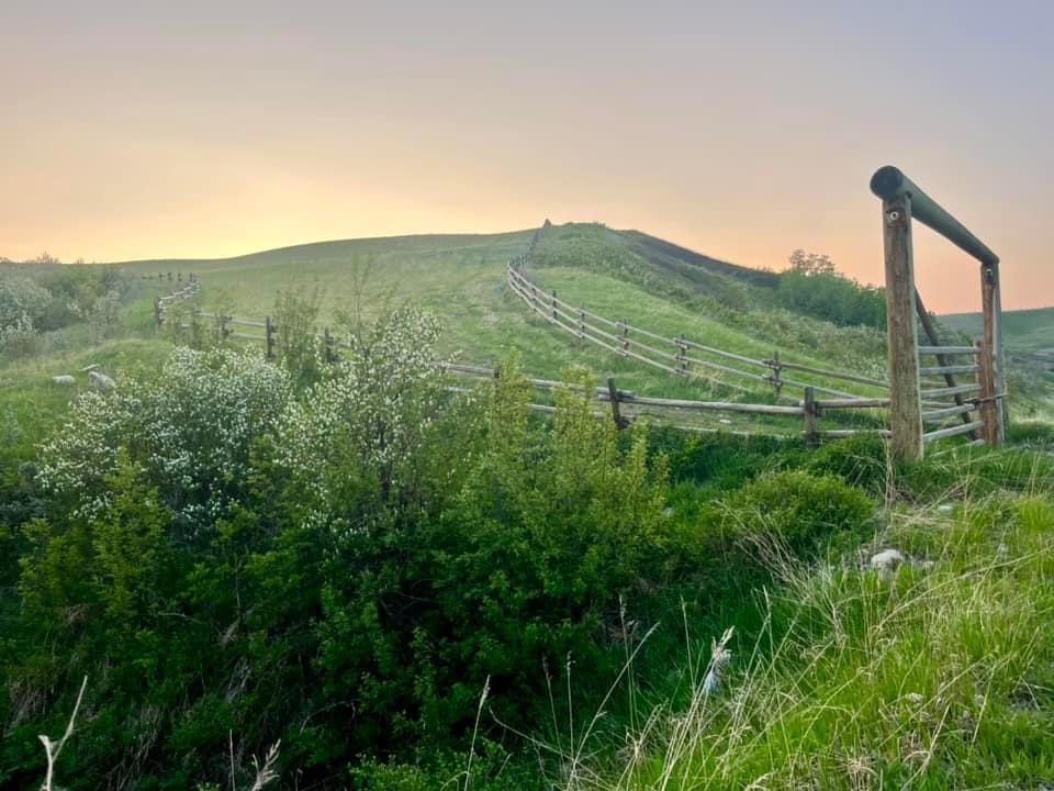 Cottonwood Canyon Campground